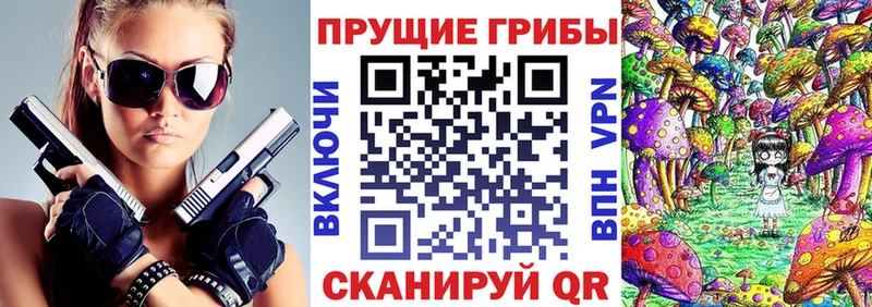 Галлюциногенные грибы Psilocybe  Козьмодемьянск 