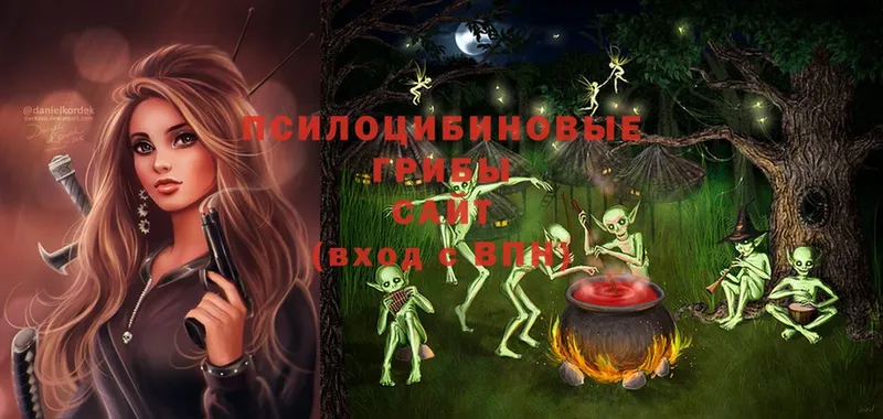 Псилоцибиновые грибы MAGIC MUSHROOMS  Козьмодемьянск 